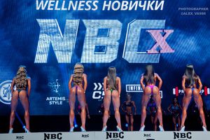 WELLNESS НОВИЧКИ